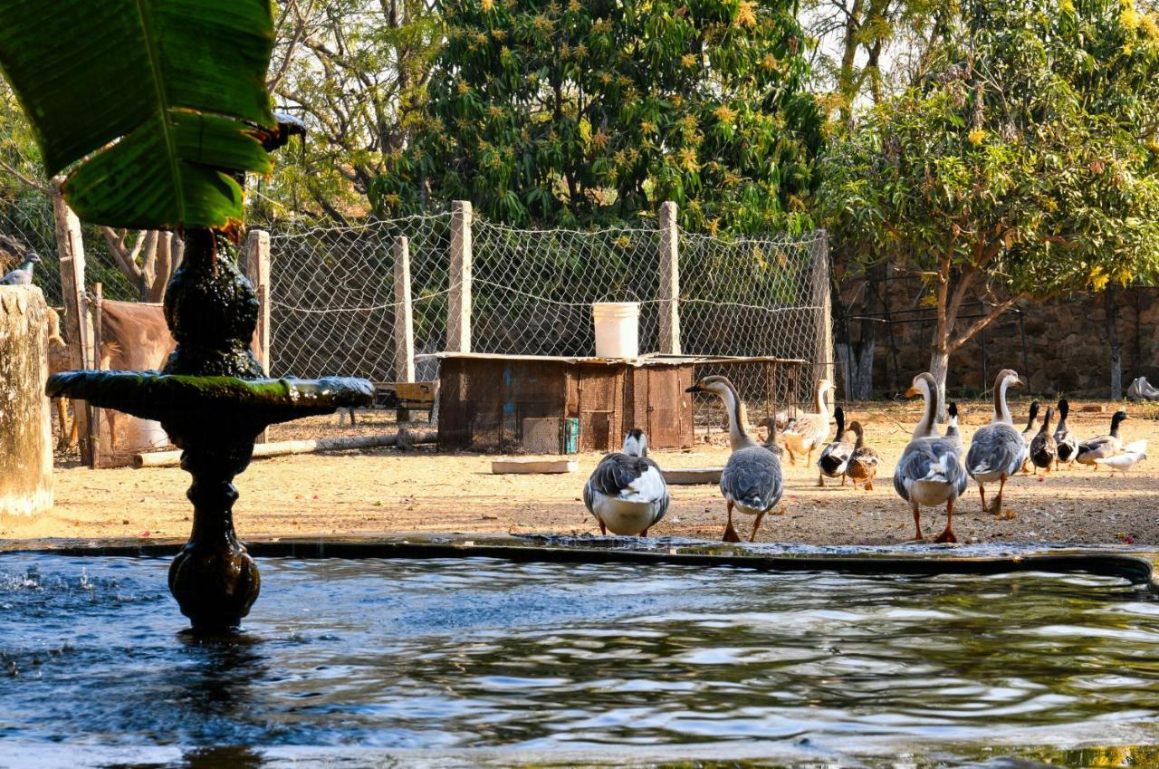 Pushkar Resort Exterior foto